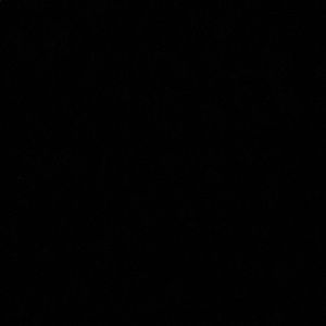 Meet your Posher, Jackson